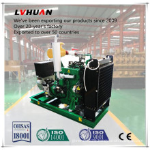 Promotion Made in China 30kw New Condition Biogas Generator Set